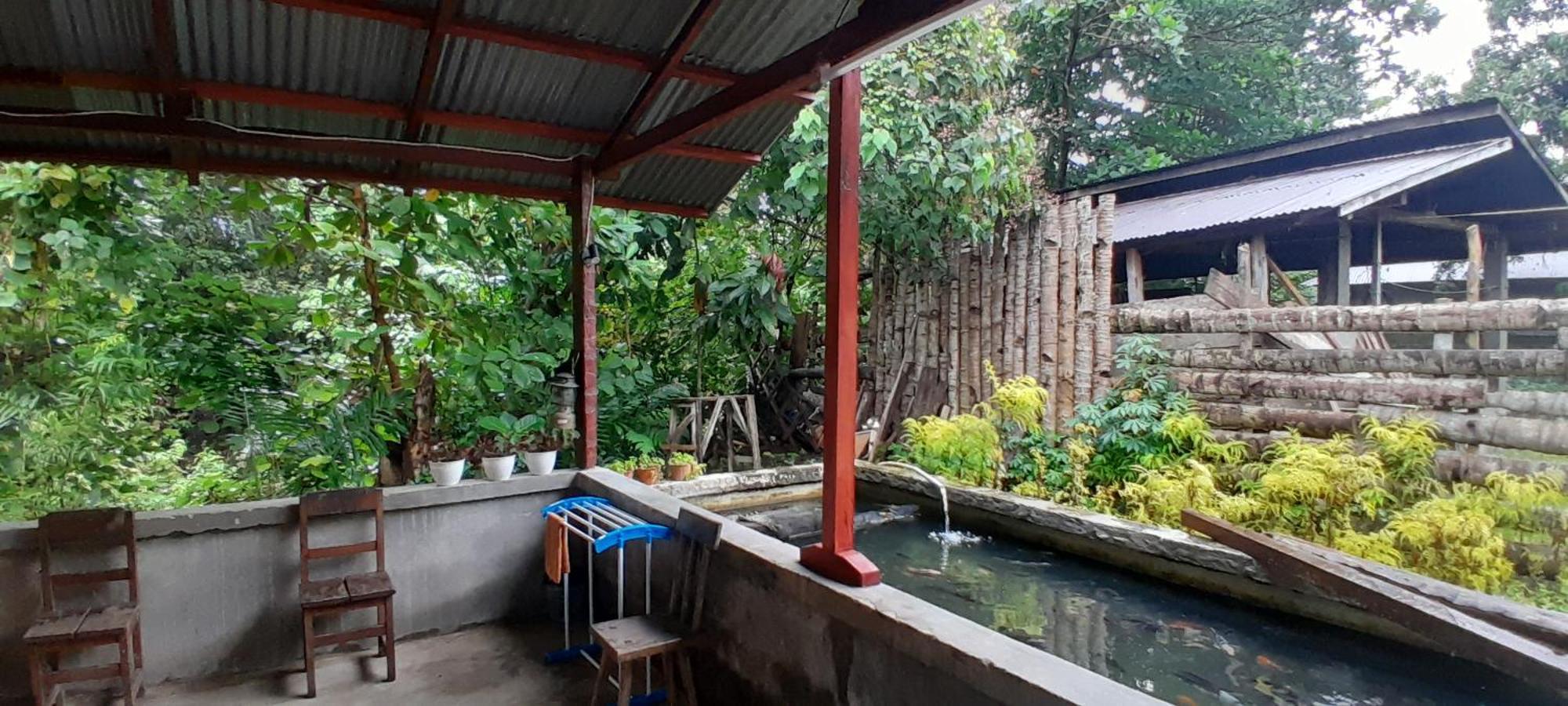 Renny's Tangkoko Safety Stop Bitung Zewnętrze zdjęcie